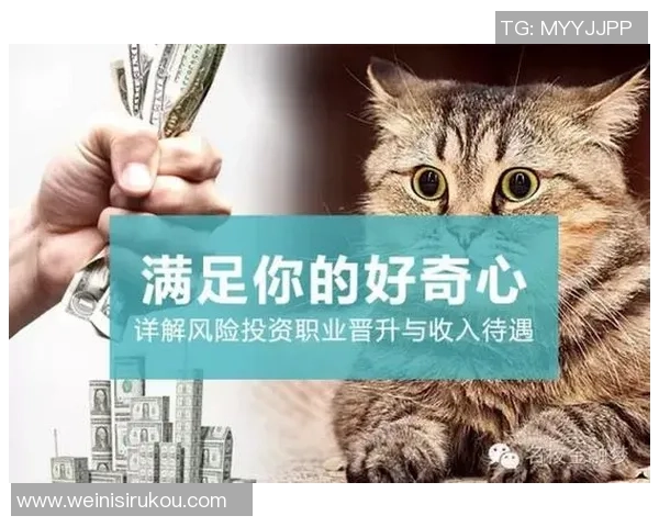 当然！这里是一个满足你需求的文章